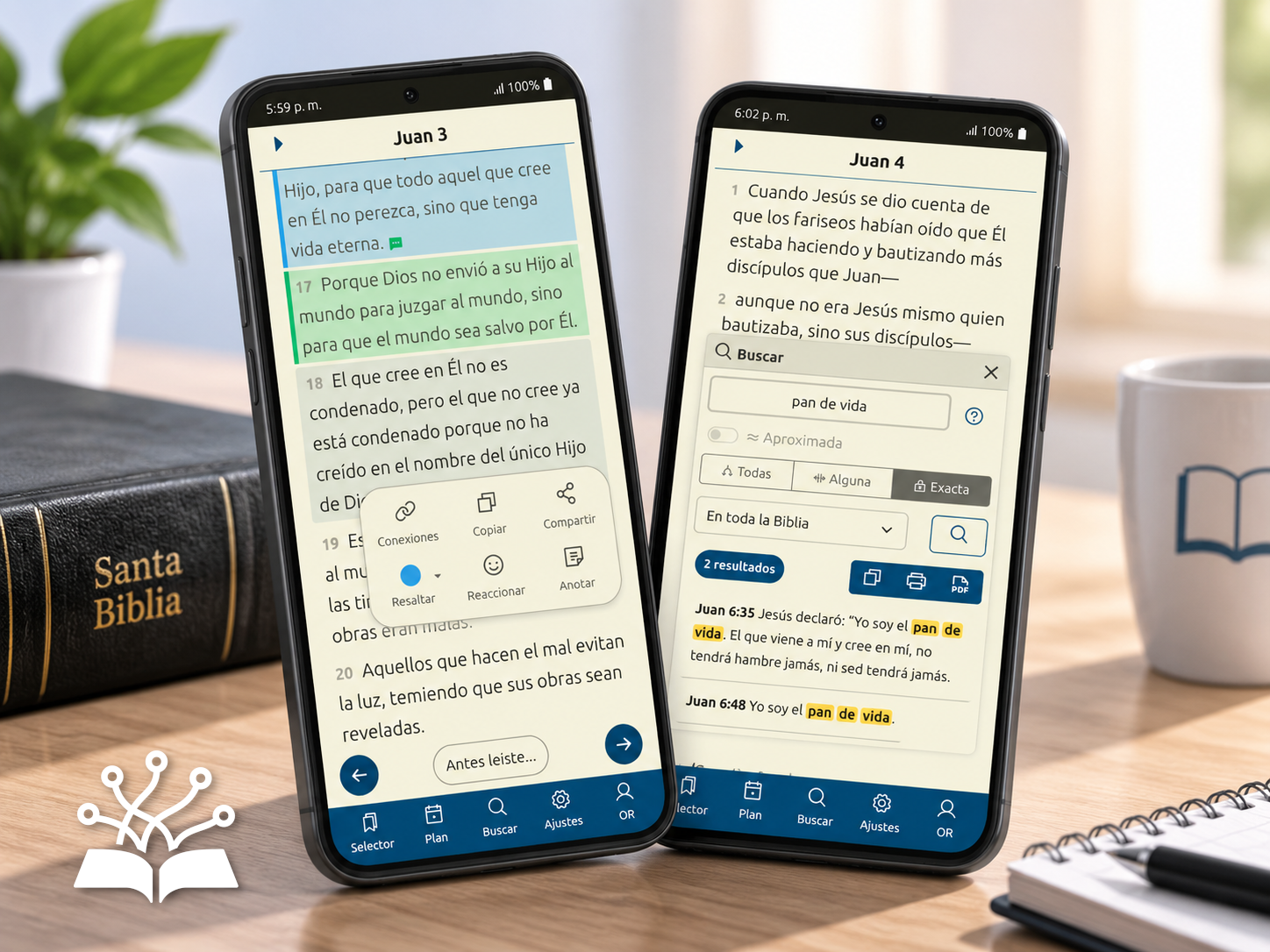 bibliaconexiones